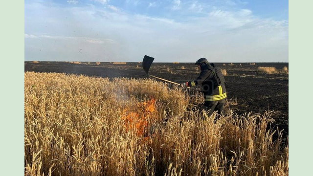 Олег Синєгубов — про ситуацію на Харківщині станом на 14 липня