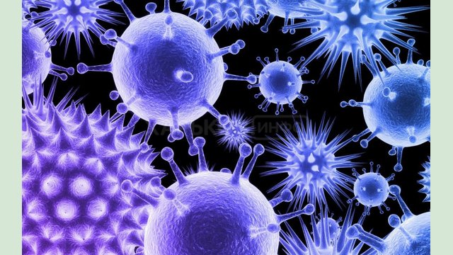 Оперативная информация о распространении коронавирусной инфекции 2019-nCoV Оперативная информация о распространении коронавирусной инфекции 2019-nCoV