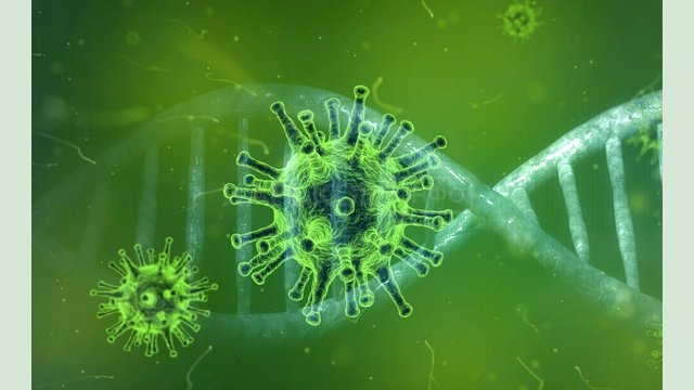 Оперативная информация о распространении коронавирусной инфекции 2019-nCoV Оперативная информация о распространении коронавирусной инфекции 2019-nCoV