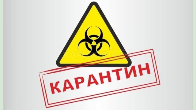 Оперативная информация о распространении коронавирусной инфекции 2019-nCoV Оперативная информация о распространении коронавирусной инфекции 2019-nCoV