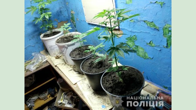 Оперативники Харьковского района изъяли у мужчины наркотики и оружие Оперативники Харьковского района изъяли у мужчины наркотики и оружие