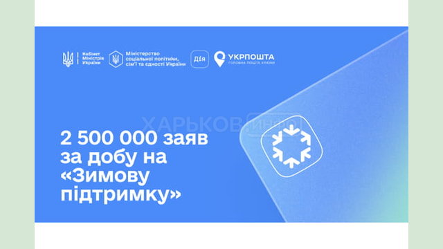 Понад 300 тисяч заяв на тисячу «зимової підтримки» у Дії подано на дітей