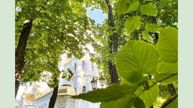 Поздравление председателя Харьковской ОГА Айны Тимчук с Днем Святой Троицы Поздравление председателя Харьковской ОГА Айны Тимчук с Днем Святой Троицы