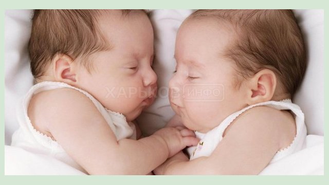 С 26 по 28 ноября в Харькове родилось три двойни С 26 по 28 ноября в Харькове родилось три двойни