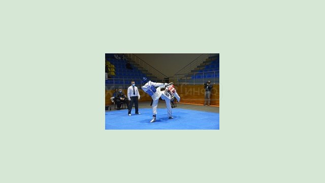 Сборная Харьковской области завоевала 7 золотых наград чемпионата Украины по тхэквондо Сборная Харьковской области завоевала 7 золотых наград чемпионата Украины по тхэквондо