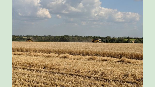 В Сахновщинском районе уже собрали 63% ранних зерновых В Сахновщинском районе уже собрали 63% ранних зерновых