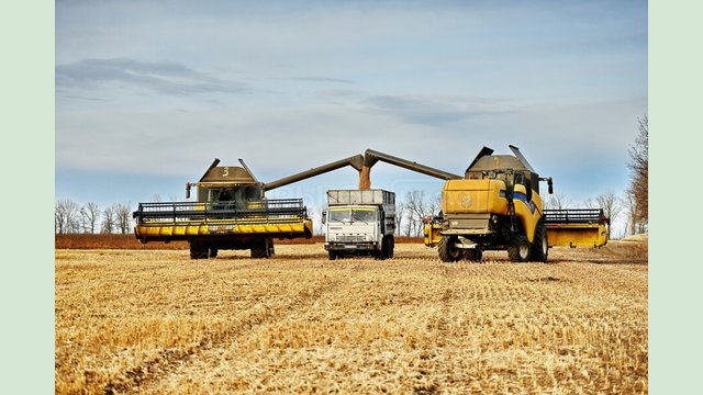 Торік Харківщина експортувала товарів сільгоспвиробництва на понад 377 мільйонів доларів США Торік Харківщина експортувала товарів сільгоспвиробництва на понад 377 мільйонів доларів США