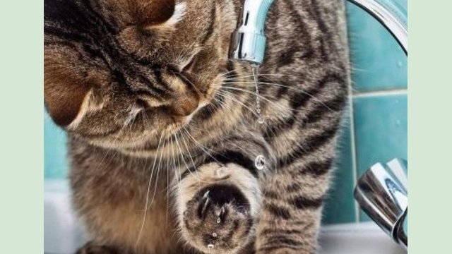 В части домов Харькова временно прекращено водоснабжение В части домов Харькова временно прекращено водоснабжение