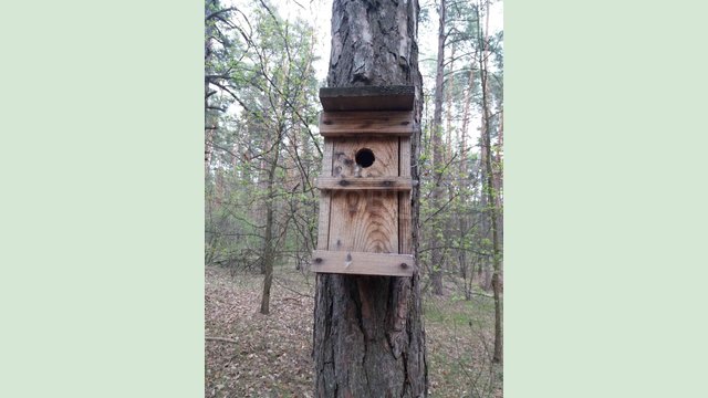 В Фельдман Экопарк студенты-орнитологи четвертый год реализуют проект «Сохраним птиц вместе» В Фельдман Экопарк студенты-орнитологи четвертый год реализуют проект «Сохраним птиц вместе»