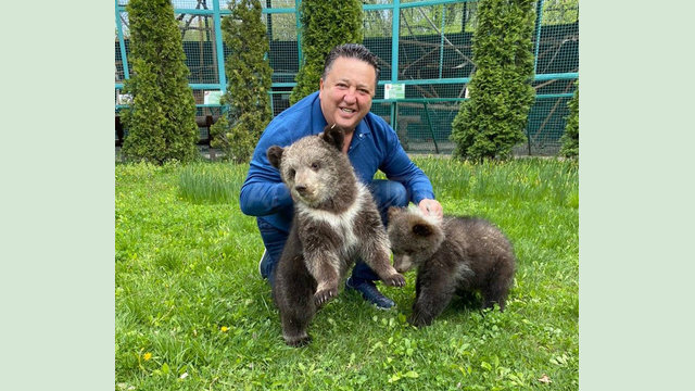 В Фельдман Экопарк впервые родились медвежата В Фельдман Экопарк впервые родились медвежата