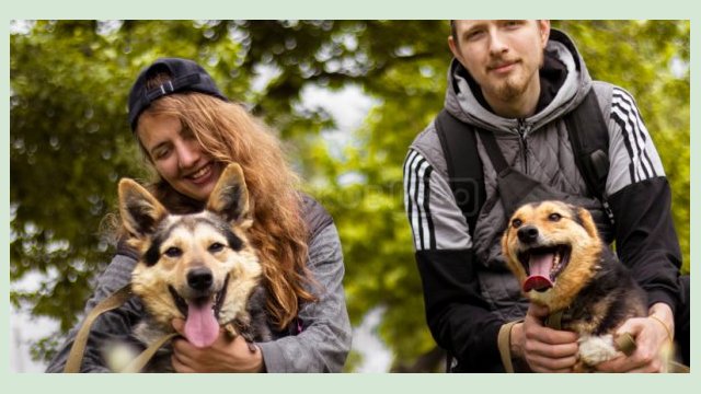 В городском приюте для животных состоялся благотворительный фотопикник