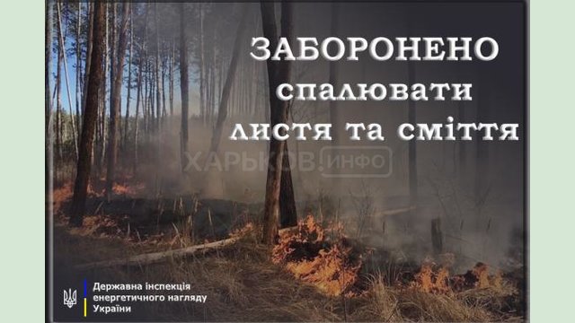 В Госэнергонадзоре предупреждают об ответственности за самовольное сжигание сухостоя и мусора В Госэнергонадзоре предупреждают об ответственности за самовольное сжигание сухостоя и мусора