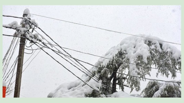 В Харькове из-за непогоды произошла авария на электросетях