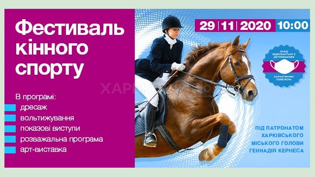 В Харькове проведут фестиваль конного спорта В Харькове проведут фестиваль конного спорта