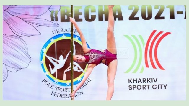 В Харькове сформировали сборную Украины по поул-спорту и воздушной акробатике В Харькове сформировали сборную Украины по поул-спорту и воздушной акробатике