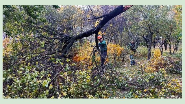 В Харькове устраняют последствия бури 