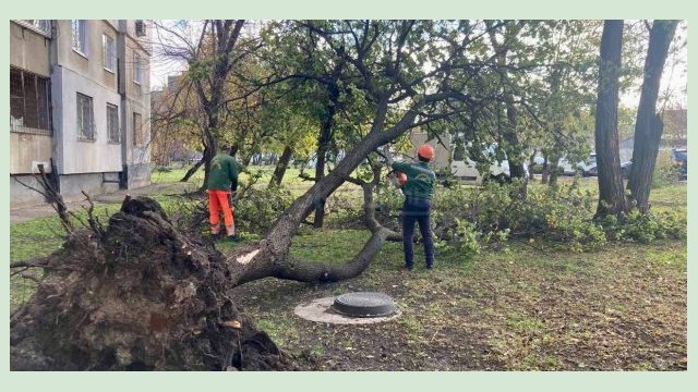 В Харькове завершают ликвидировать последствия бури