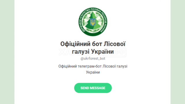 В Украине запустили чат-бот лесной отрасли