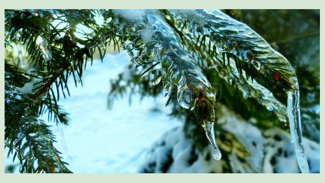 В выходные в Харькове – до 6 градусов мороза В выходные в Харькове – до 6 градусов мороза