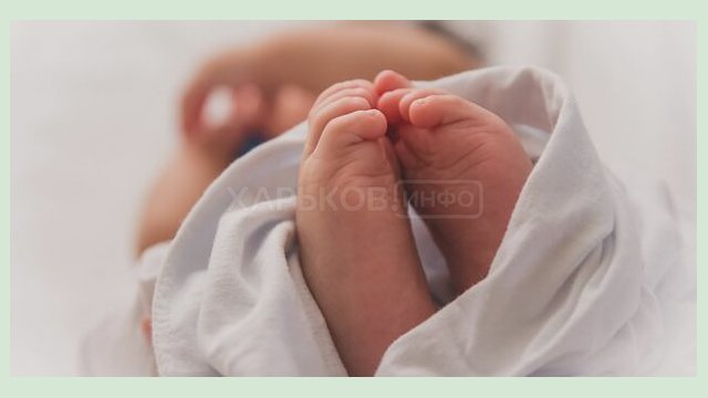 За прошедшую неделю в Харькове родилось 33 ребенка За прошедшую неделю в Харькове родилось 33 ребенка