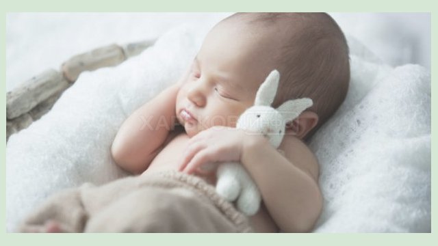 За прошедшую неделю в Харькове родился 51 ребенок За прошедшую неделю в Харькове родился 51 ребенок