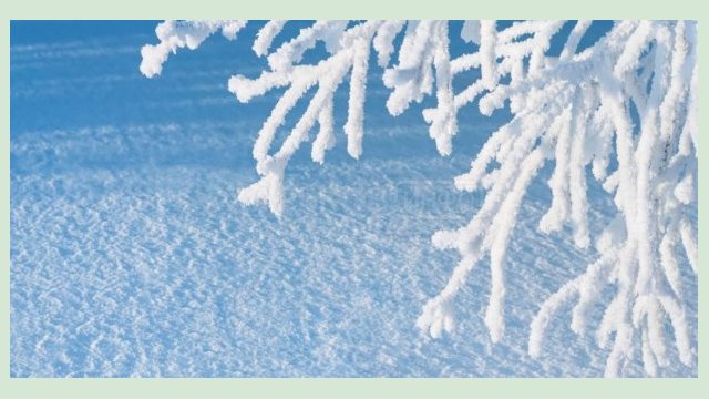 Завтра в Харькове – до 11 градусов мороза Завтра в Харькове – до 11 градусов мороза