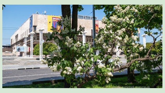 Завтра в Харькове - до 24 градусов тепла Завтра в Харькове - до 24 градусов тепла