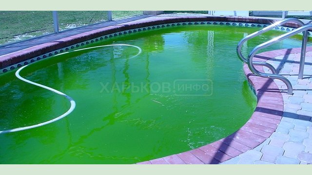 Зеленая вода в бассейне – как бороться? Зеленая вода в бассейне – как бороться?