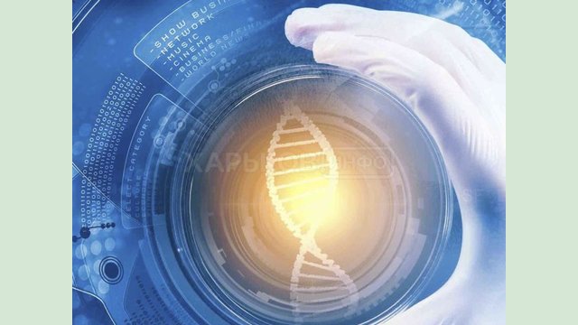 Что такое преимплантационная генетическая диагностика и для чего ее делать? Что такое преимплантационная генетическая диагностика и для чего ее делать?