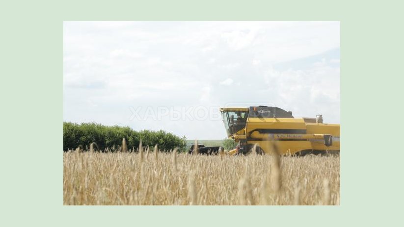 Аграрии области собрали зерновые и зернобобовые культуры с 73% площадей посевов Аграрии области собрали зерновые и зернобобовые культуры с 73% площадей посевов