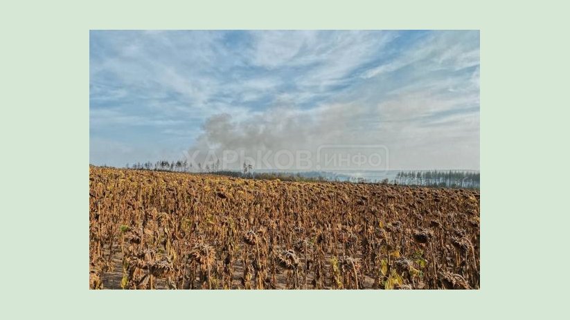 Более десятка агрофирм Двуречанского района помогают тушить пожар Более десятка агрофирм Двуречанского района помогают тушить пожар