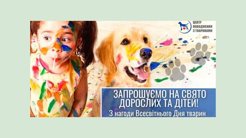 Городской приют для животных приглашает отметить годовщину открытия контакт-центра Городской приют для животных приглашает отметить годовщину открытия контакт-центра