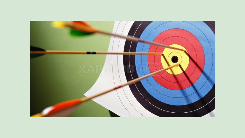 Харьковские кадеты успешно выступили на чемпионате Украины по стрельбе из лука Харьковские кадеты успешно выступили на чемпионате Украины по стрельбе из лука