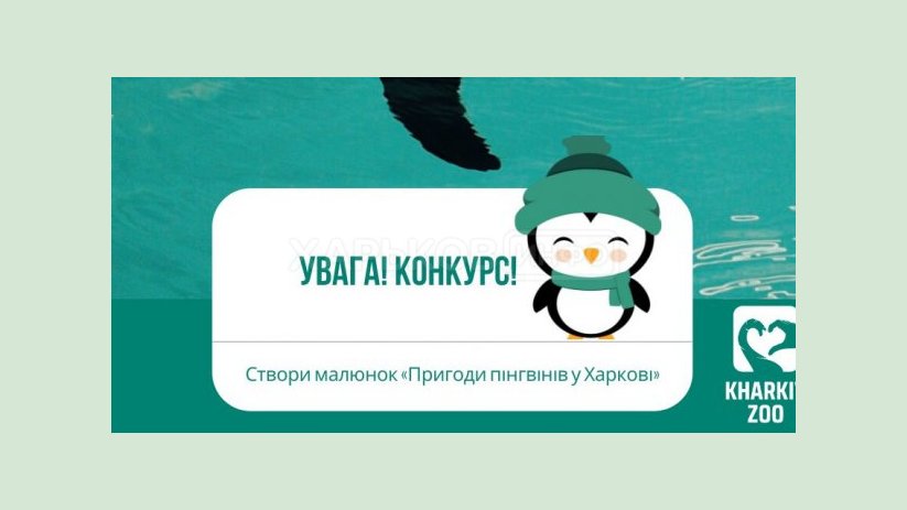 Харьковский зоопарк объявил конкурс рисунков о пингвинах Харьковский зоопарк объявил конкурс рисунков о пингвинах