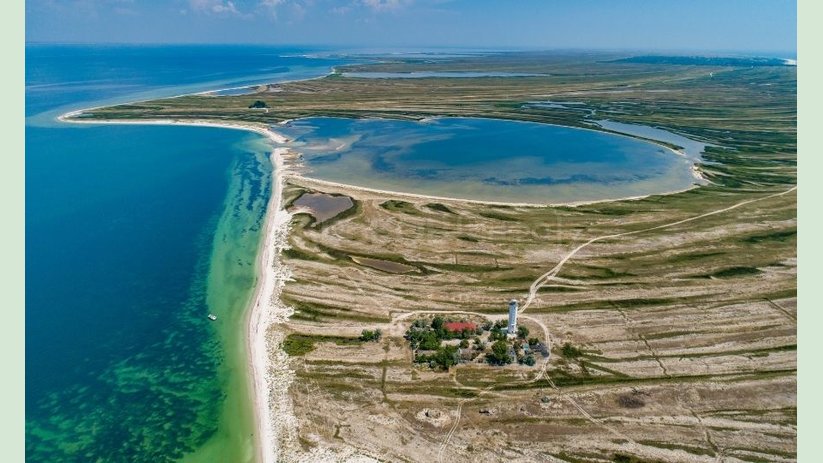 Медузы в Азовском море 2022: почему они появились, и как долго это продлится — комментарии экспертов Медузы в Азовском море 2022: почему они появились, и как долго это продлится — комментарии экспертов
