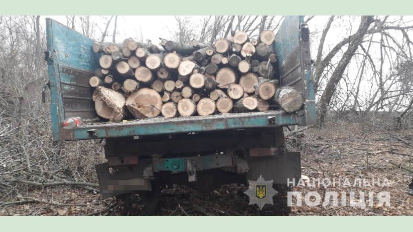 На Харьковщине полицейские изъяли незаконно срубленную древесину На Харьковщине полицейские изъяли незаконно срубленную древесину