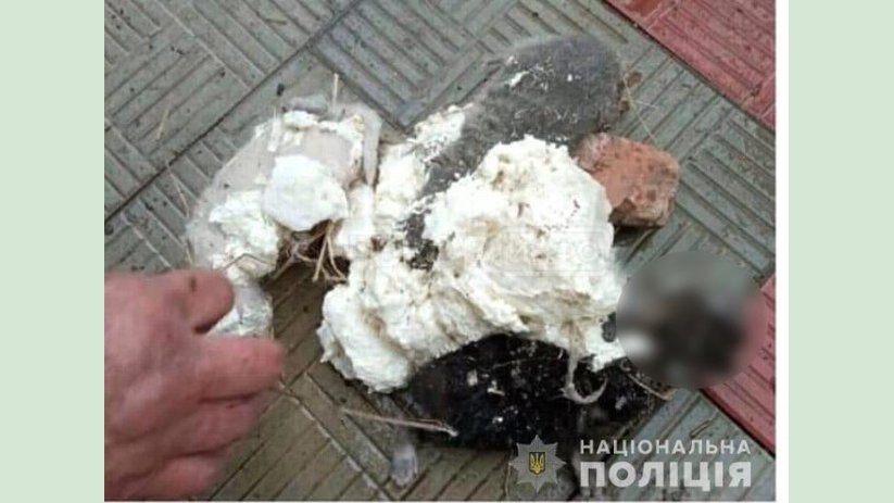 На Харьковщине полицейские разоблачили мужчину в жестоком обращении с животными На Харьковщине полицейские разоблачили мужчину в жестоком обращении с животными