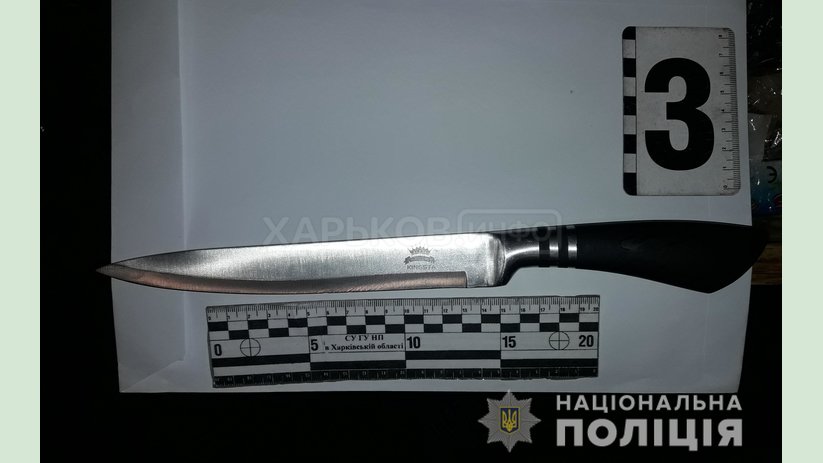 На Харьковщине полицейские задержали женщину за убийство сожителя На Харьковщине полицейские задержали женщину за убийство сожителя