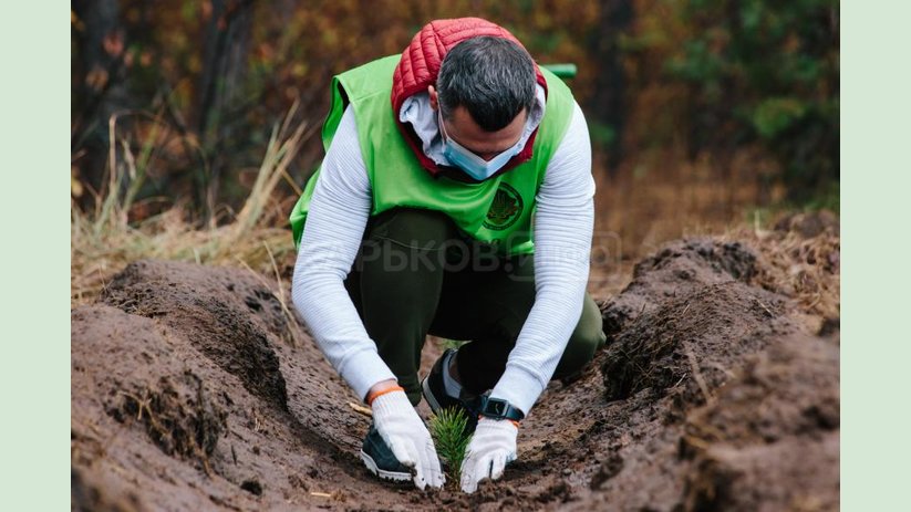 На Харьковщине за день высадили 40 тысяч деревьев На Харьковщине за день высадили 40 тысяч деревьев