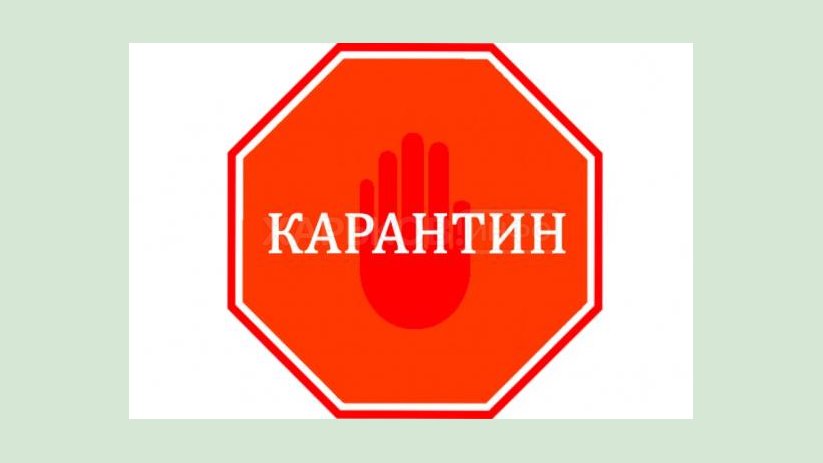 На Харьковщине зафиксирован случай африканской чумы свиней: вводятся карантинные ограничения На Харьковщине зафиксирован случай африканской чумы свиней: вводятся карантинные ограничения