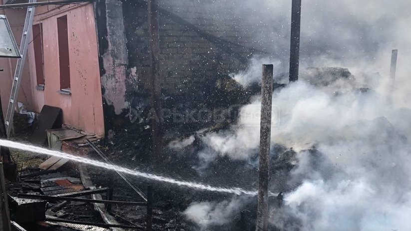 Новомосковский район: ликвидирован пожар на частном дворе Новомосковский район: ликвидирован пожар на частном дворе