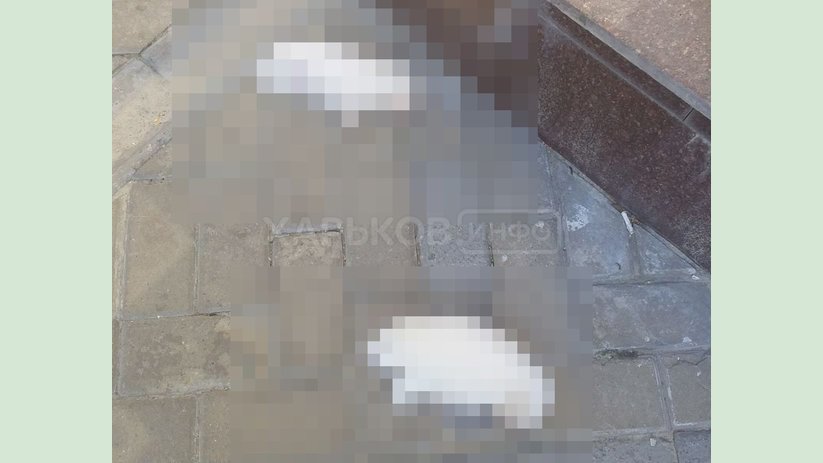 Полиция проводит проверку по факту гибели щенков в Новобаварский районе Харькова Полиция проводит проверку по факту гибели щенков в Новобаварский районе Харькова