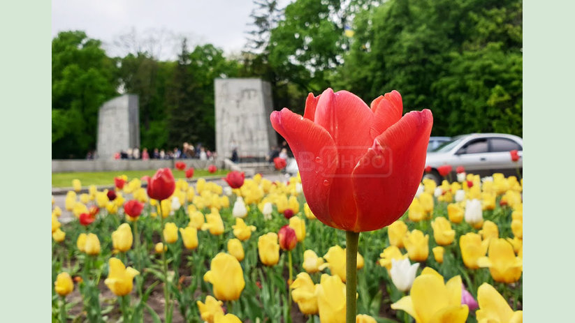 Поздравление с Днем города Харькова Поздравление с Днем города Харькова