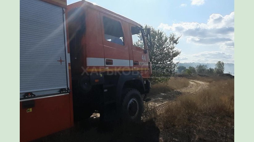 В Боровском районе спасатели спасли лес от огня В Боровском районе спасатели спасли лес от огня