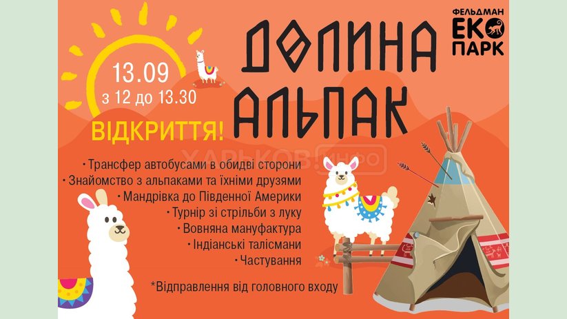 В Фельдман Экопарк появится «Долина альпака» В Фельдман Экопарк появится «Долина альпака»