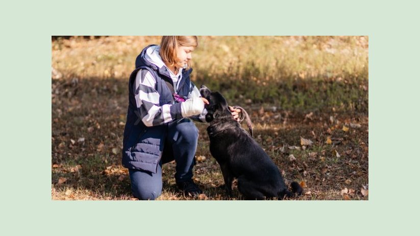 В городском приюте отметили годовщину открытия pets-friendly контакт-центра В городском приюте отметили годовщину открытия pets-friendly контакт-центра