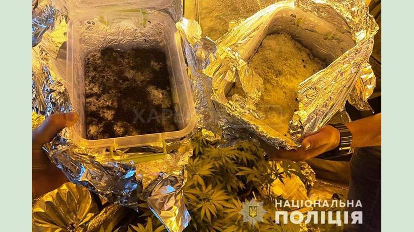 В Харькове полицейские задержали оптового наркосбытчика В Харькове полицейские задержали оптового наркосбытчика