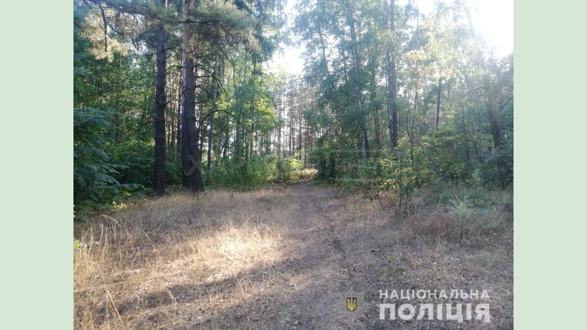 В Харьковской области полицейские оперативно задержали мужчину, который убил бывшую сожительницу В Харьковской области полицейские оперативно задержали мужчину, который убил бывшую сожительницу