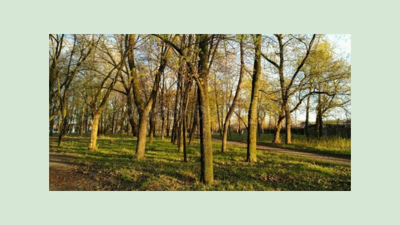 В Киевском районе реконструируют Карякин сад и откроют библиотеку В Киевском районе реконструируют Карякин сад и откроют библиотеку