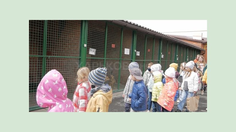 В приюте для животных возобновились экскурсии В приюте для животных возобновились экскурсии